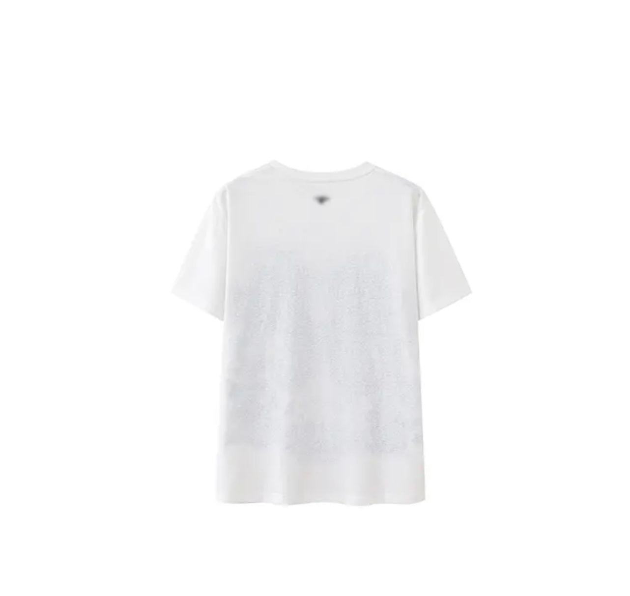 DIOR T-Shirt