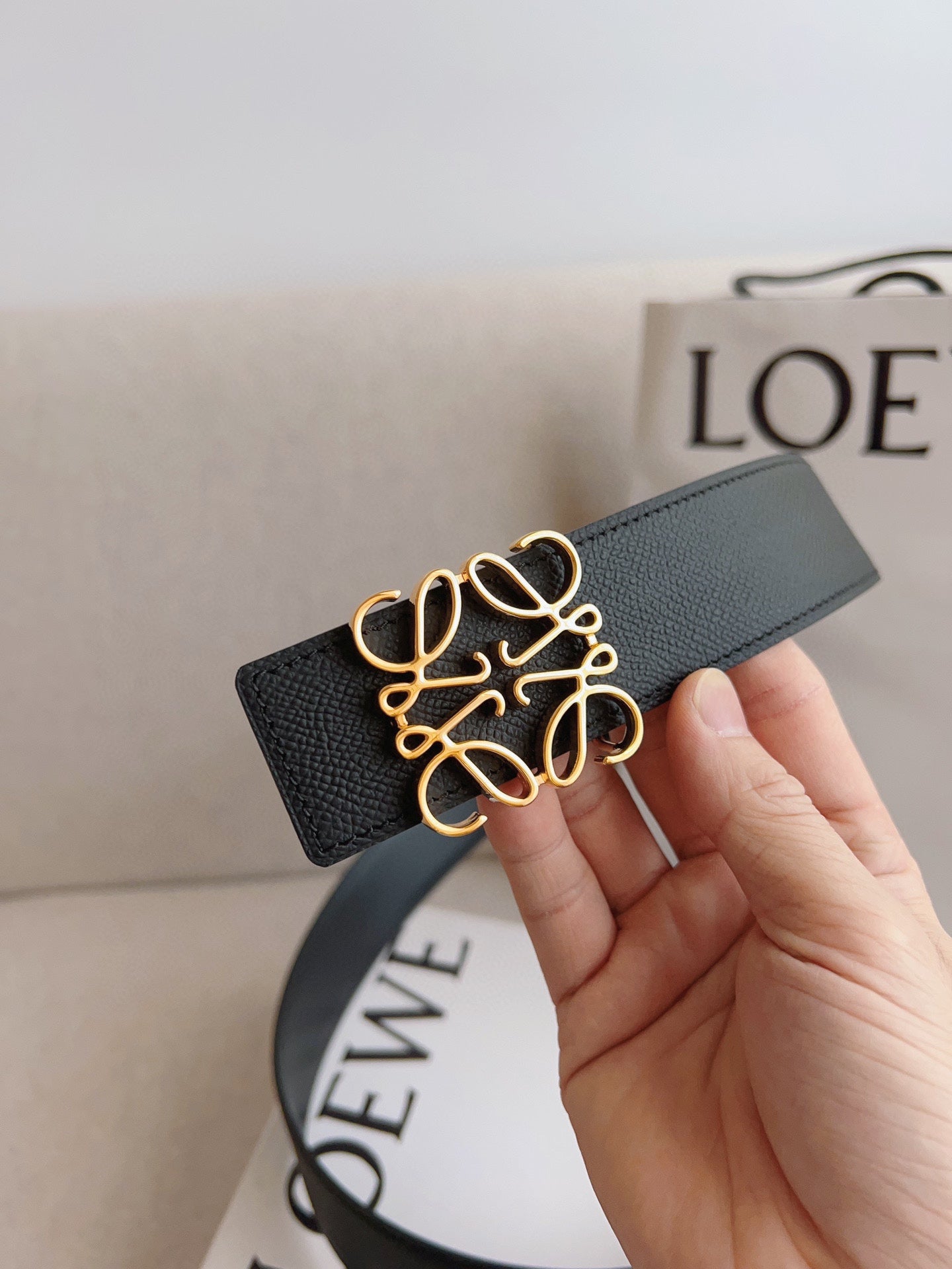 LOEWE  Belt