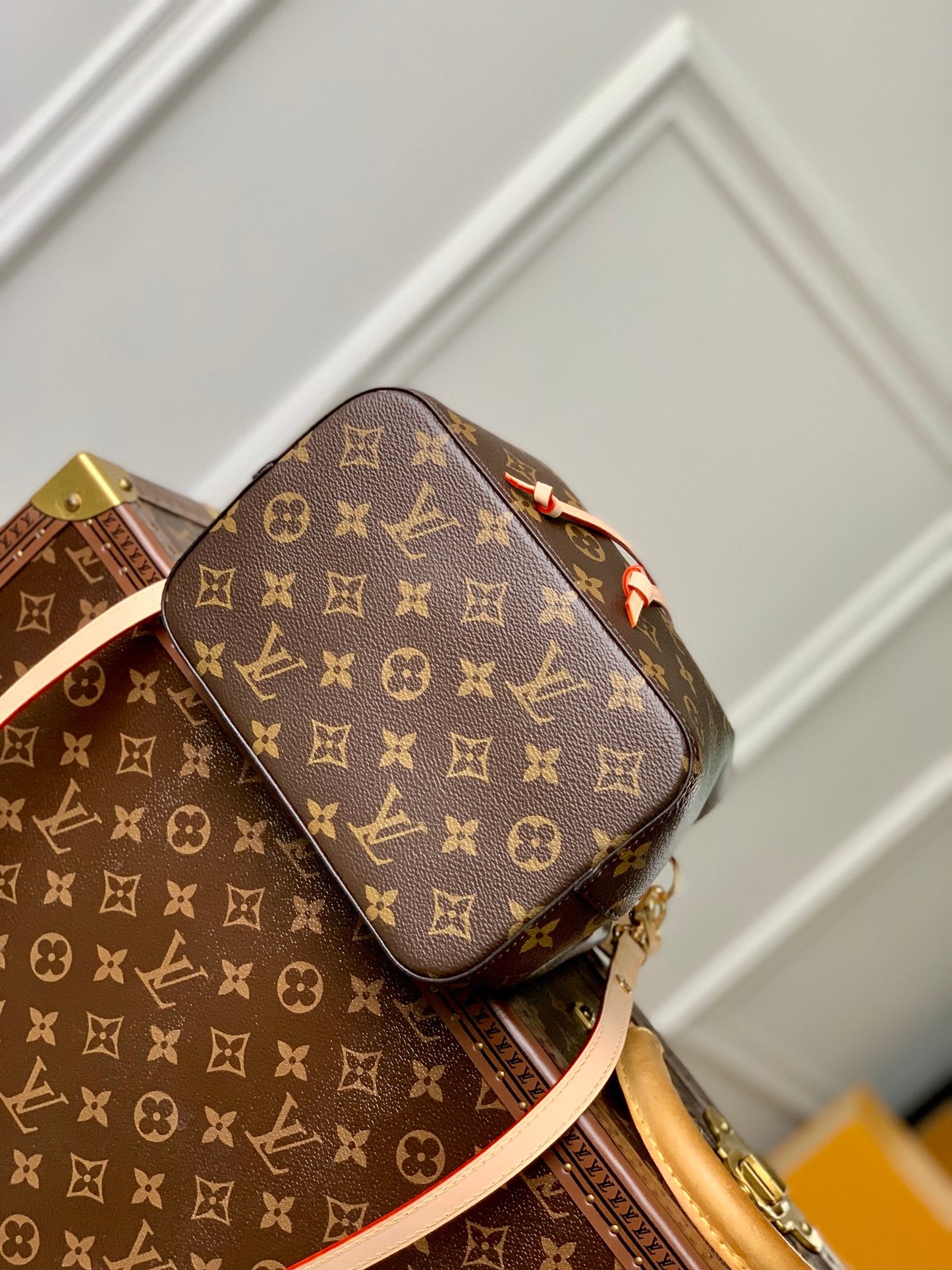 LV Bag