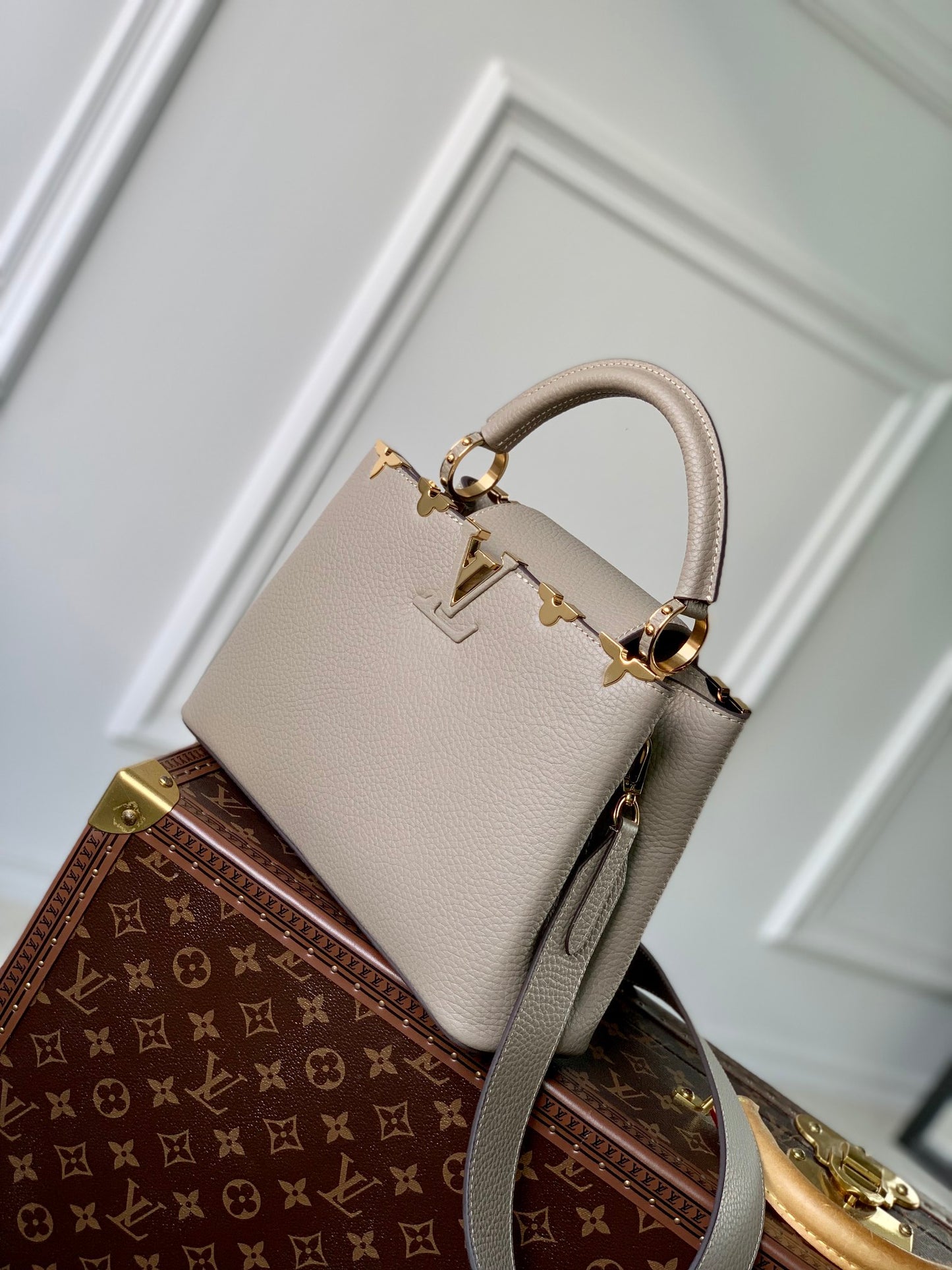 LV Capucines  Bag