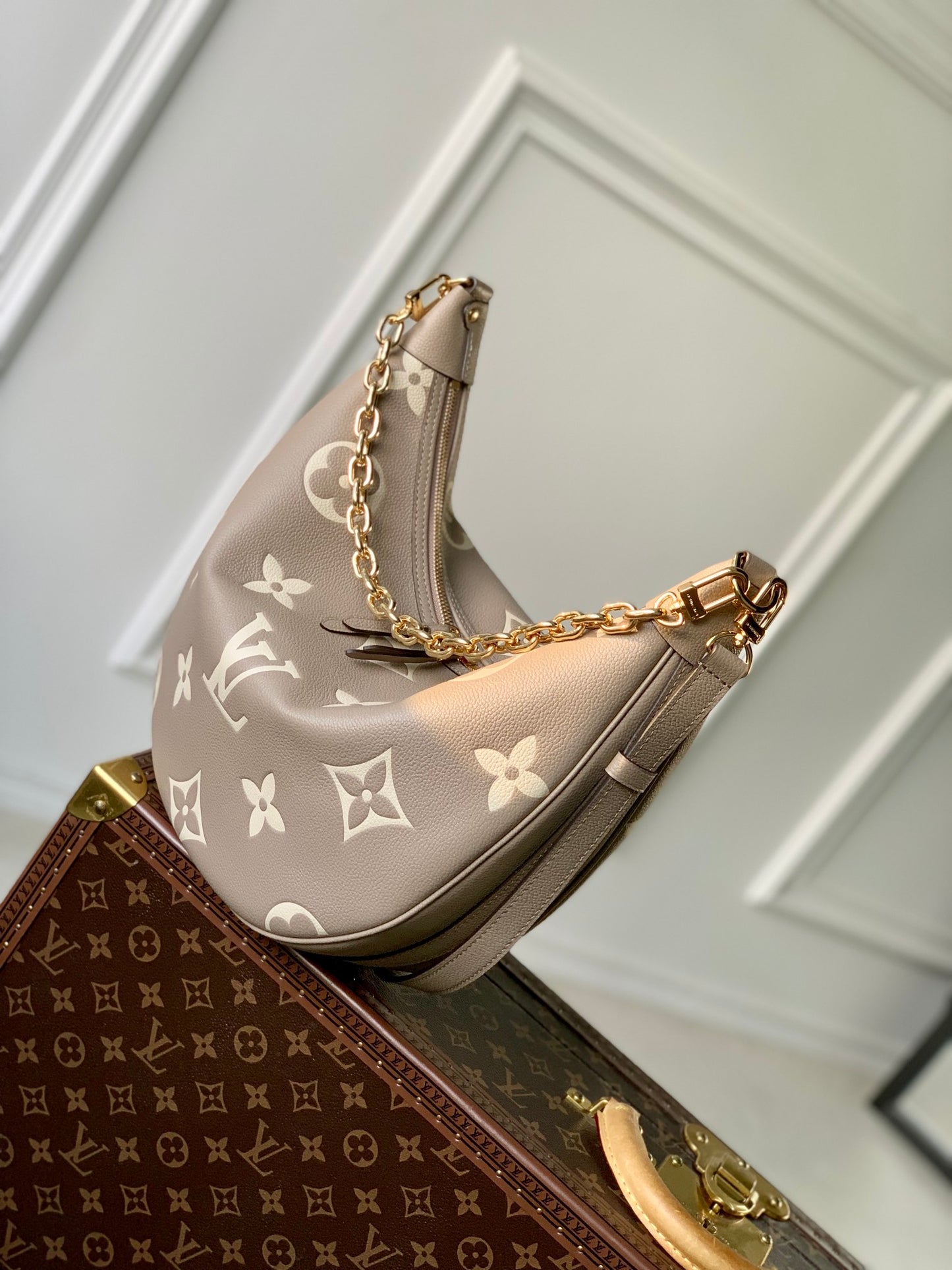 LV Loop Hobo  Bag