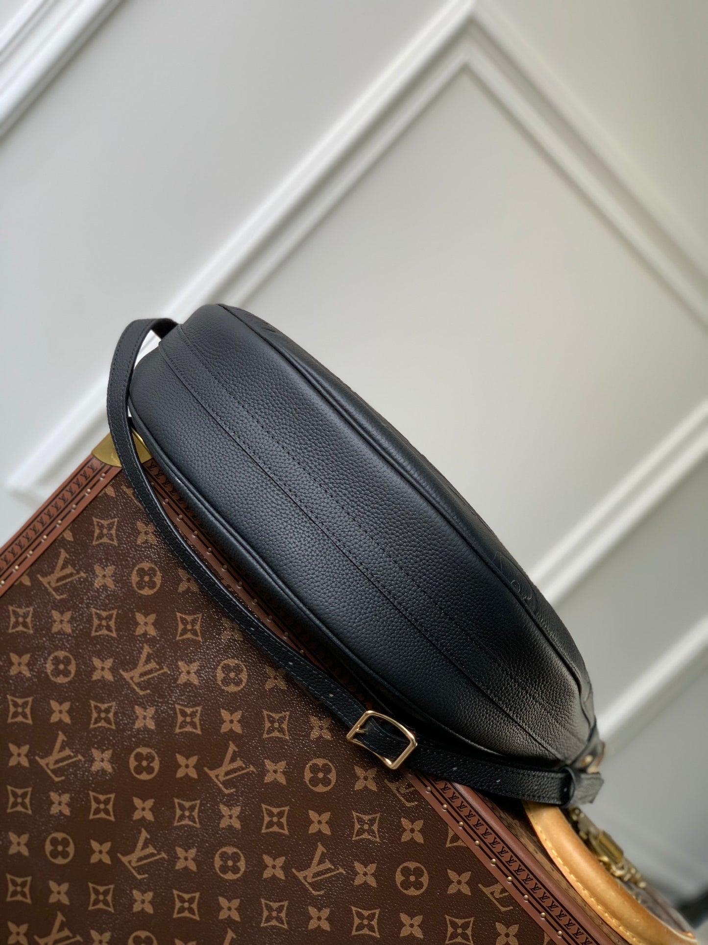 LV Loop Hobo Bag