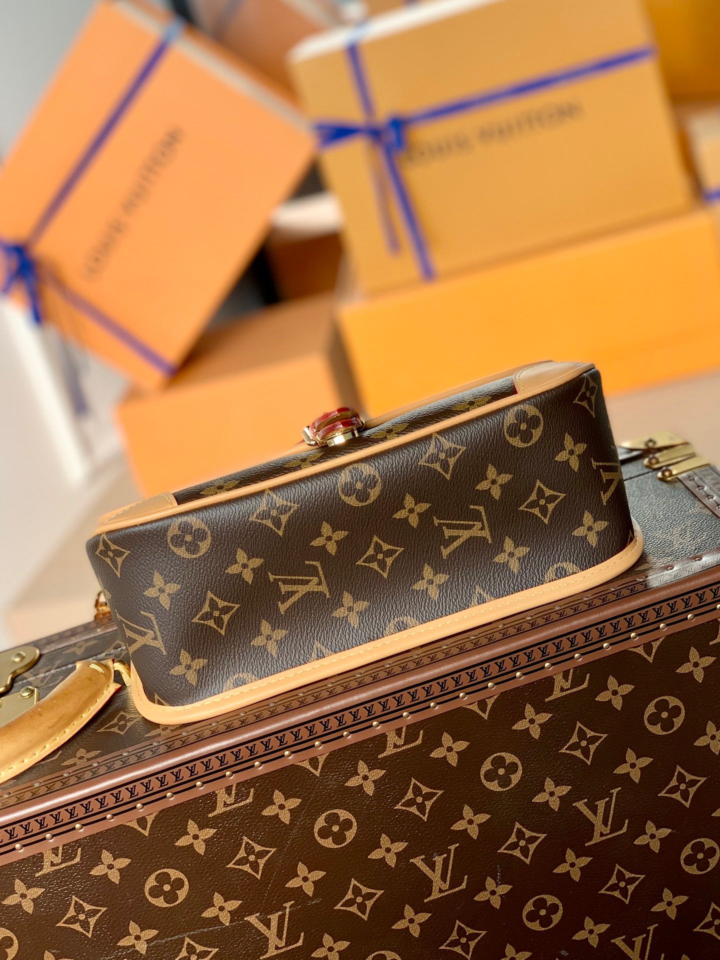 LV DIANE Bag