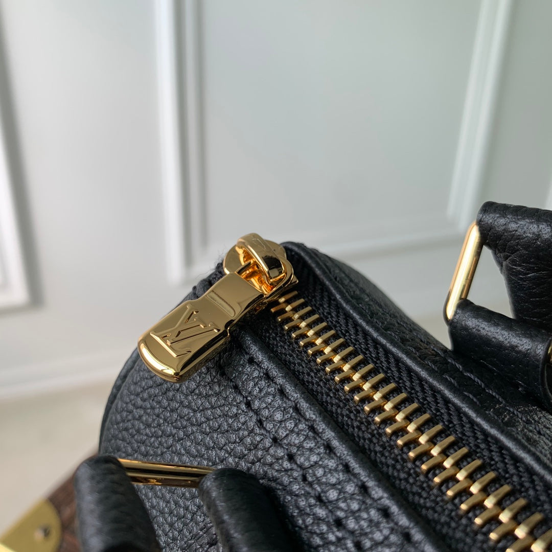 LV Nano Speedy Bag