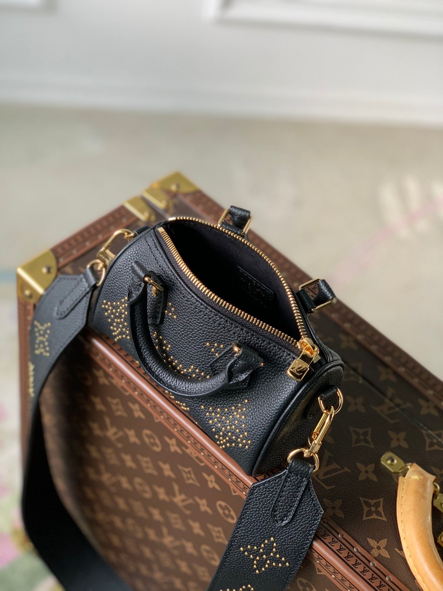 LV Nano Speedy Bag