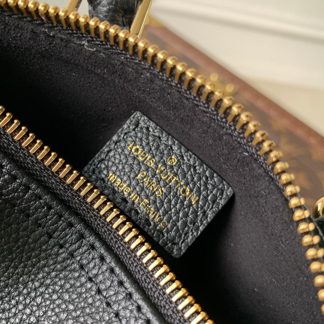 LV Nano Speedy Bag