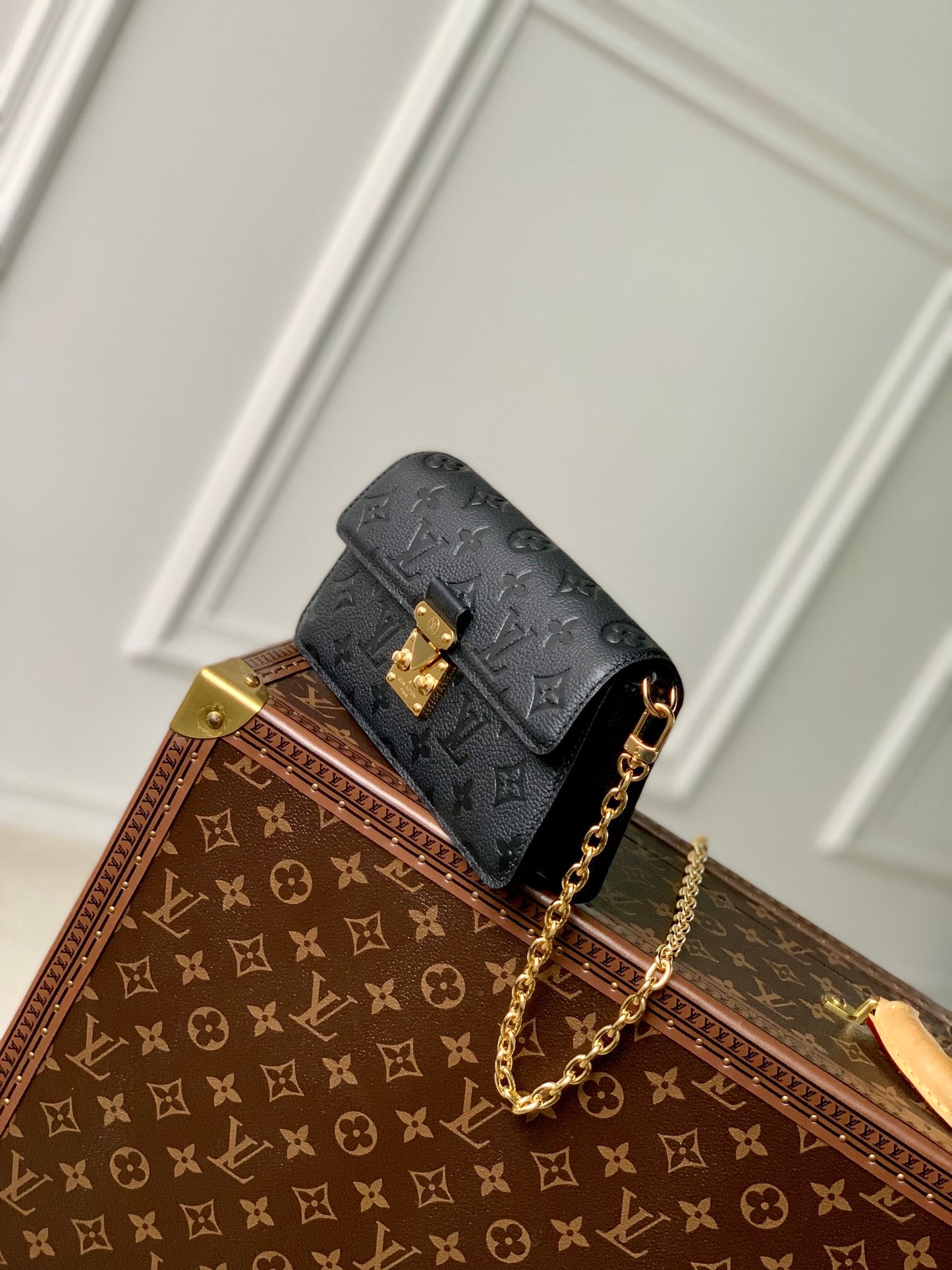 LV Bag