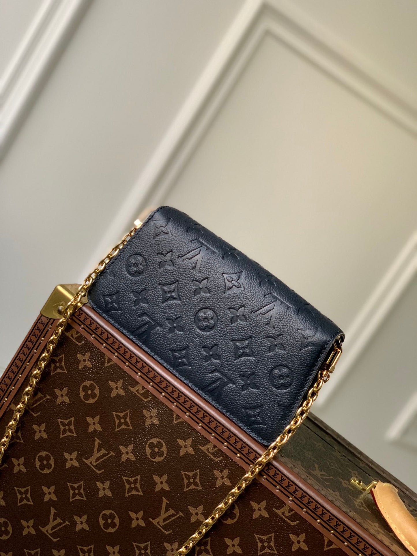 LV Bag