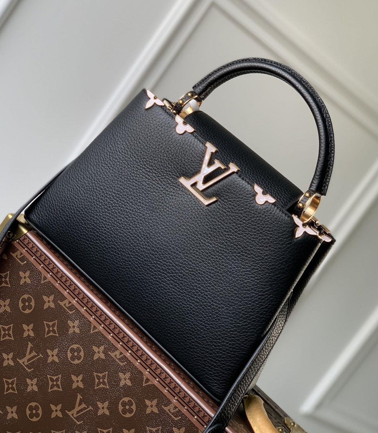 LV Capucines Bag