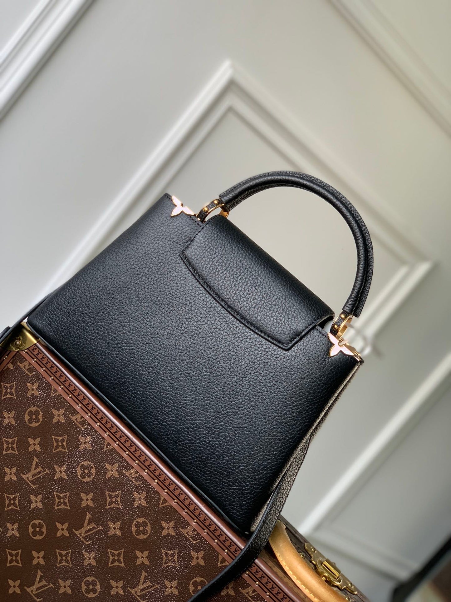 LV Capucines Bag