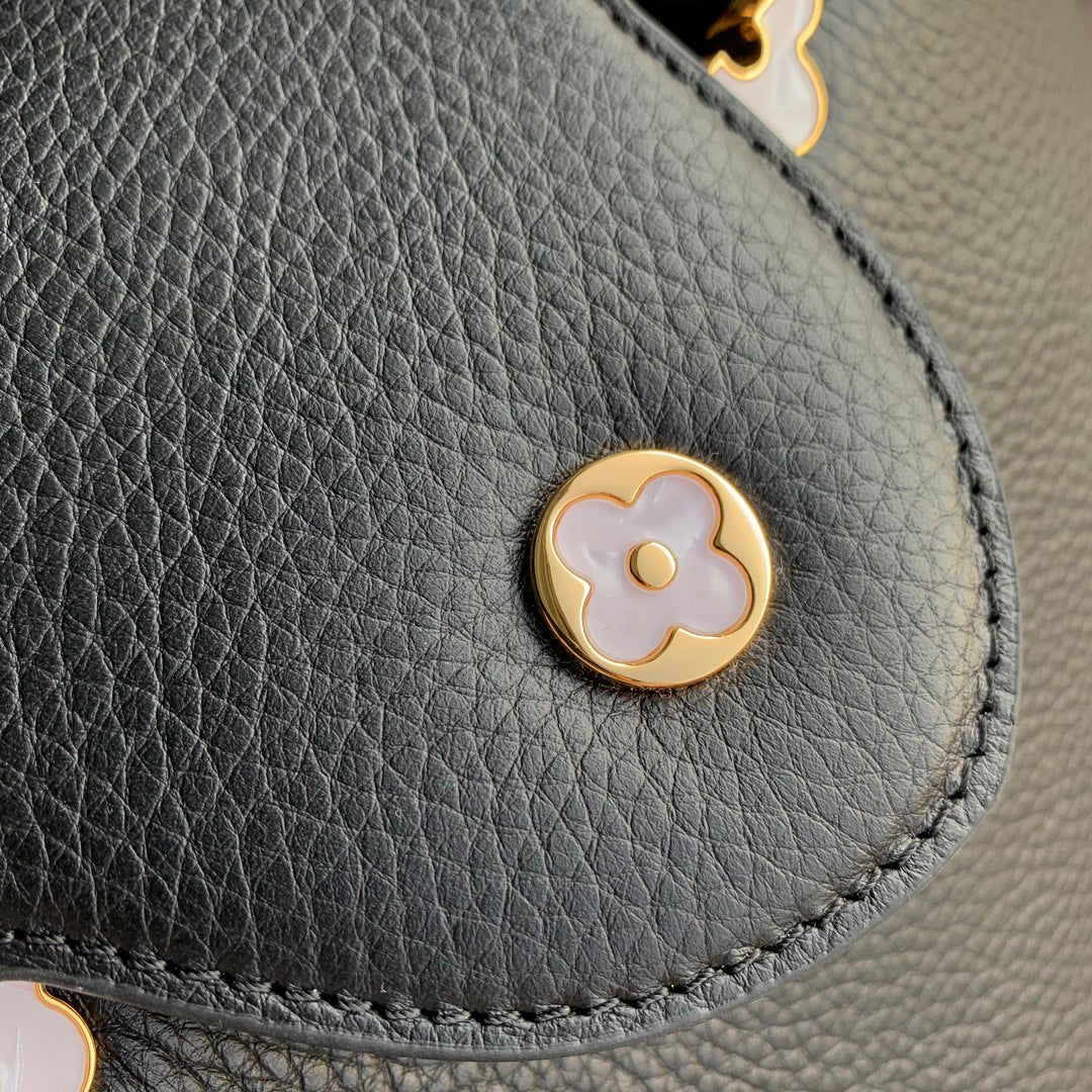 LV Capucines Bag