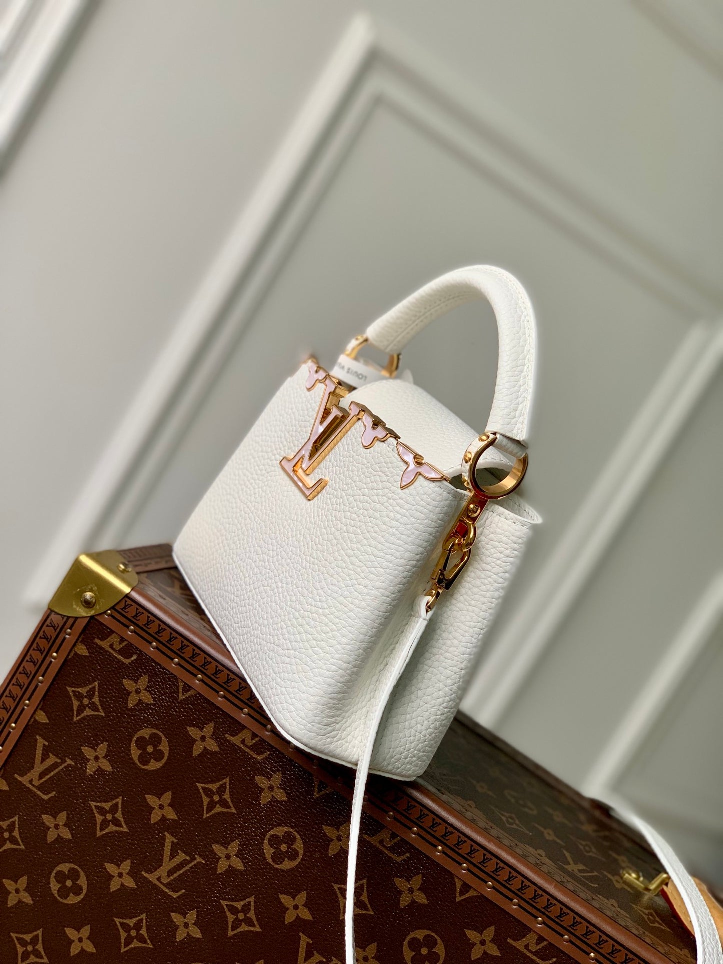 LV Capucines Bag