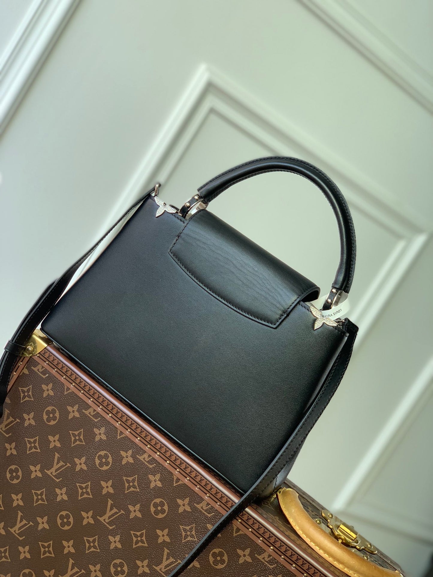 LV Capucines Bag