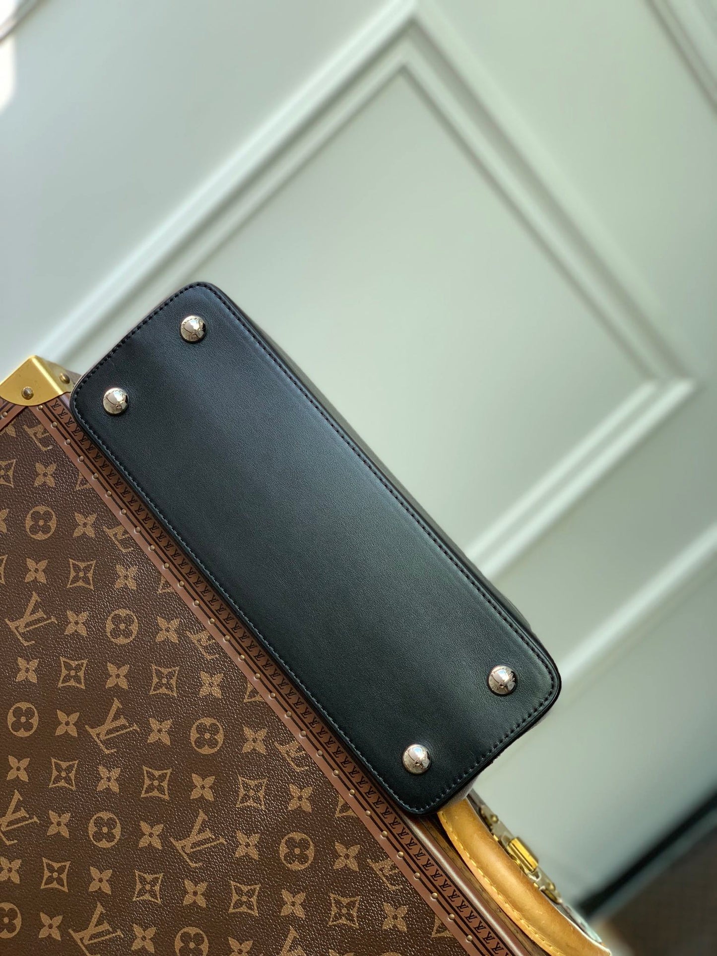 LV Capucines Bag