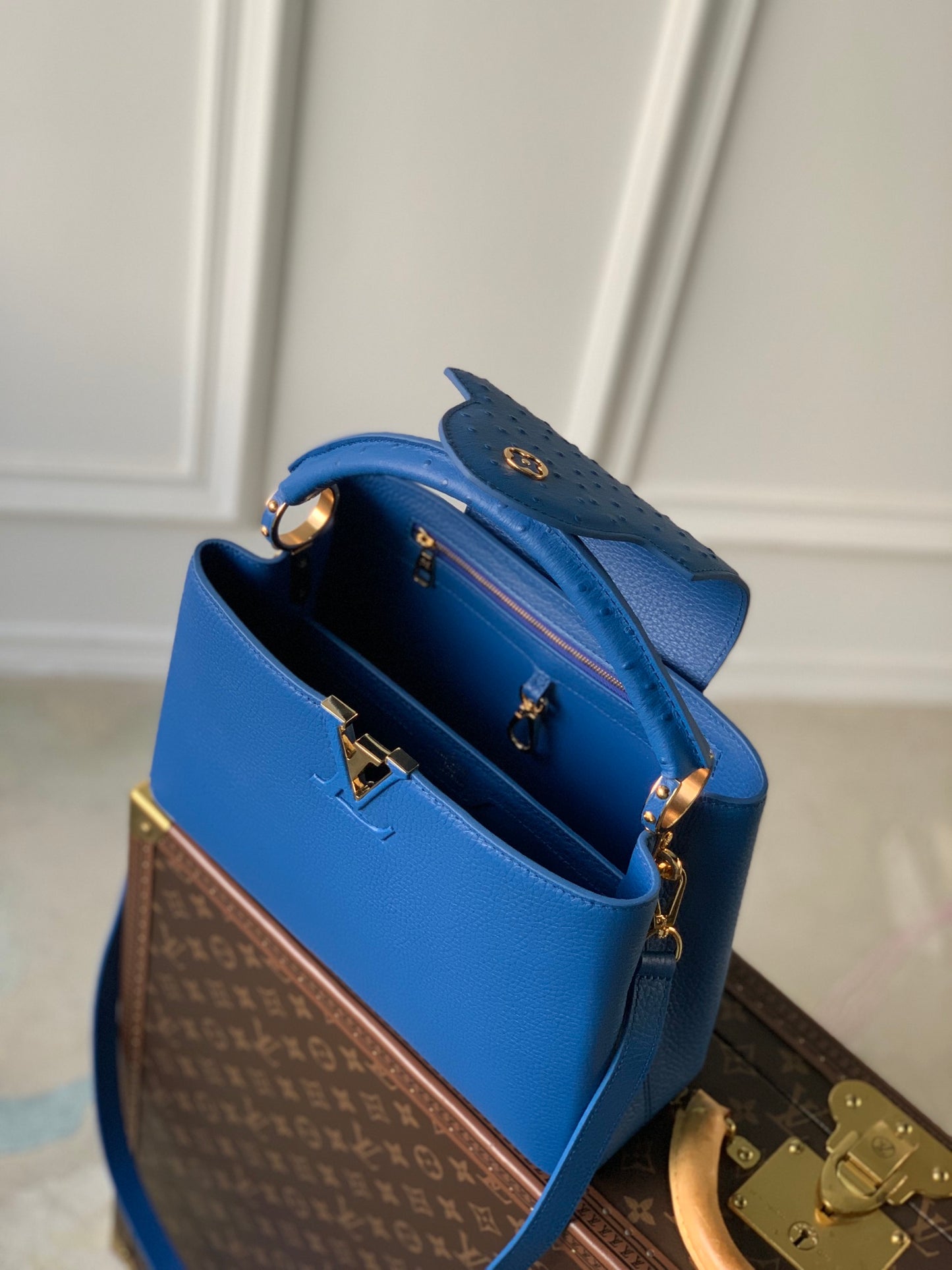 LV Capucines  Bag