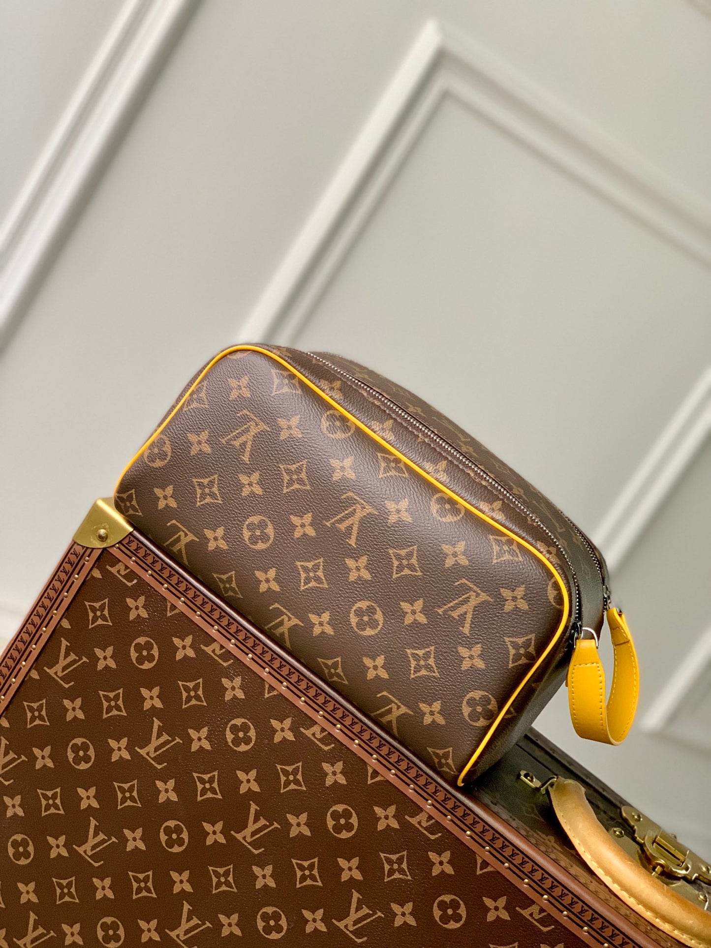 LV Makeup Bag