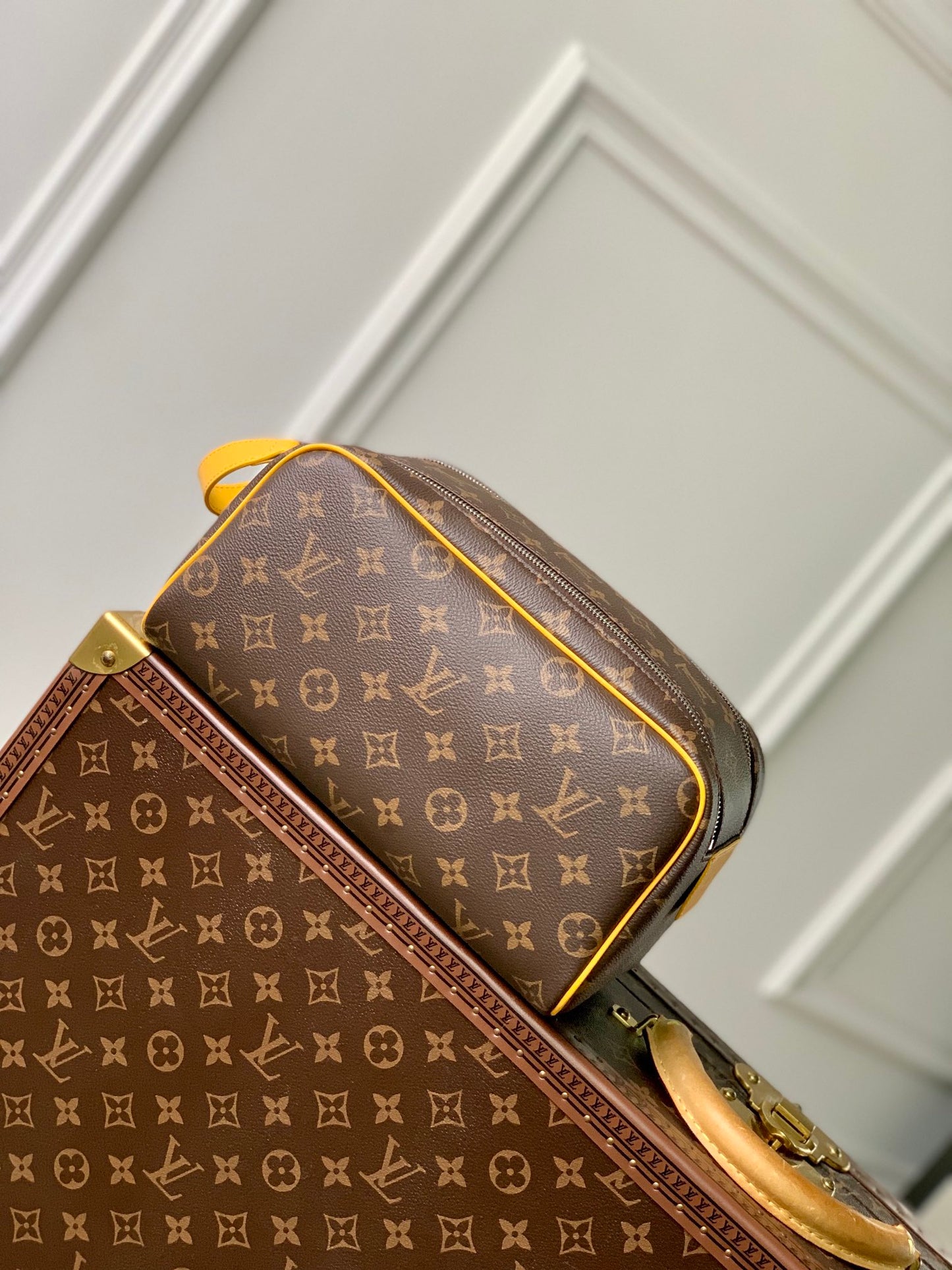 LV Makeup Bag