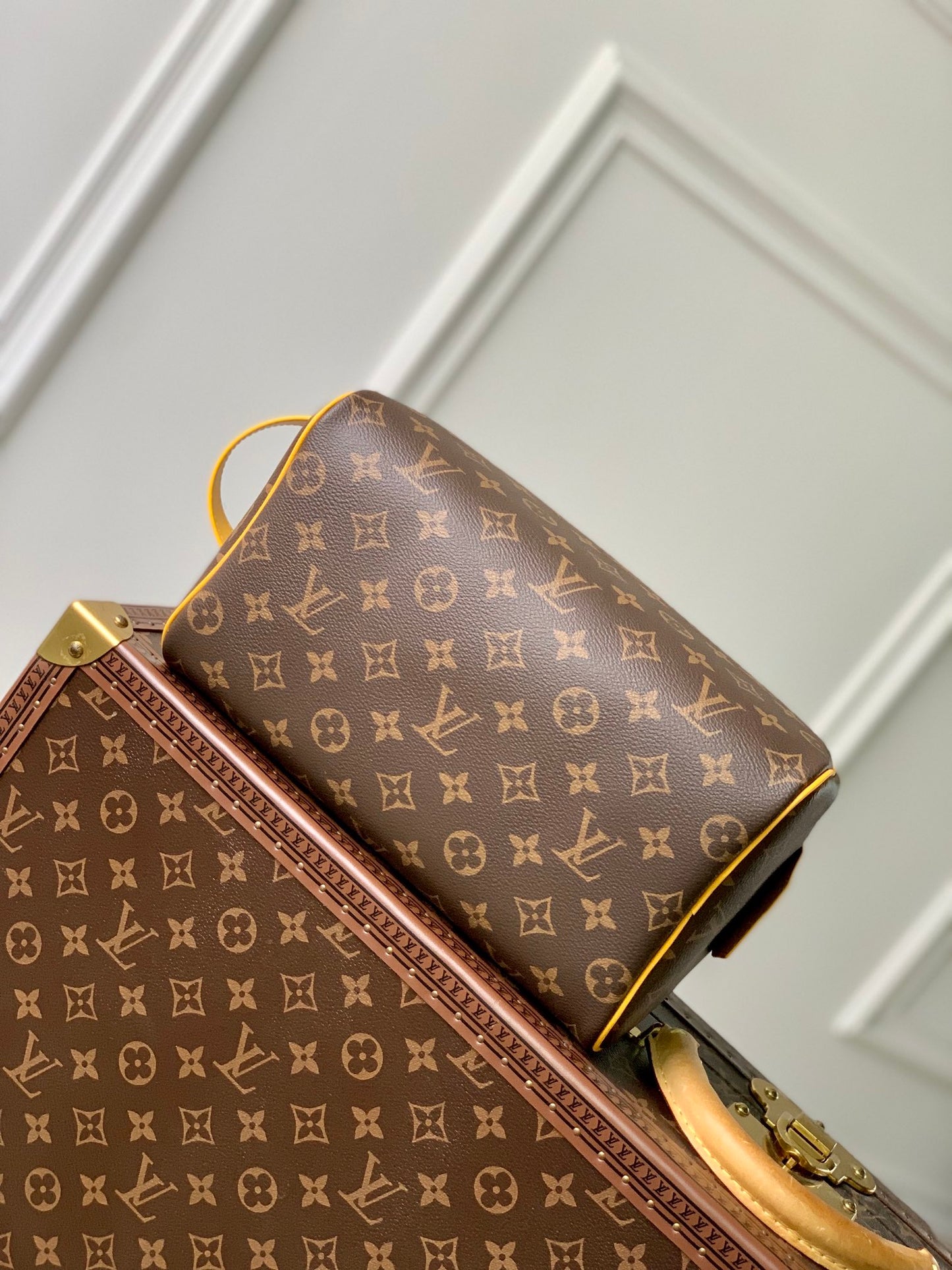 LV Makeup Bag