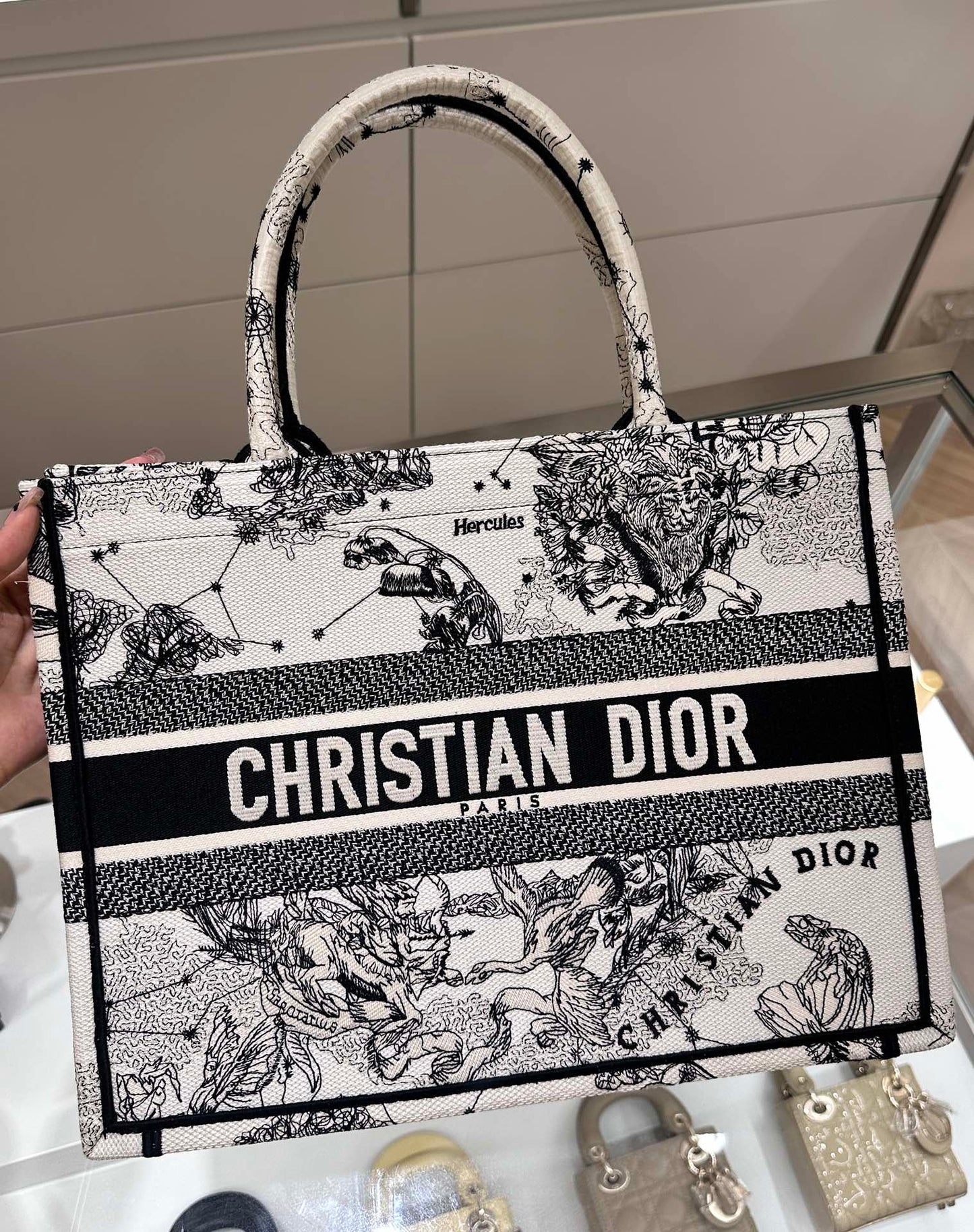 DIOR 𝐁𝐨𝐨𝐤 𝐓𝐨𝐭𝐞 𝟑𝟔