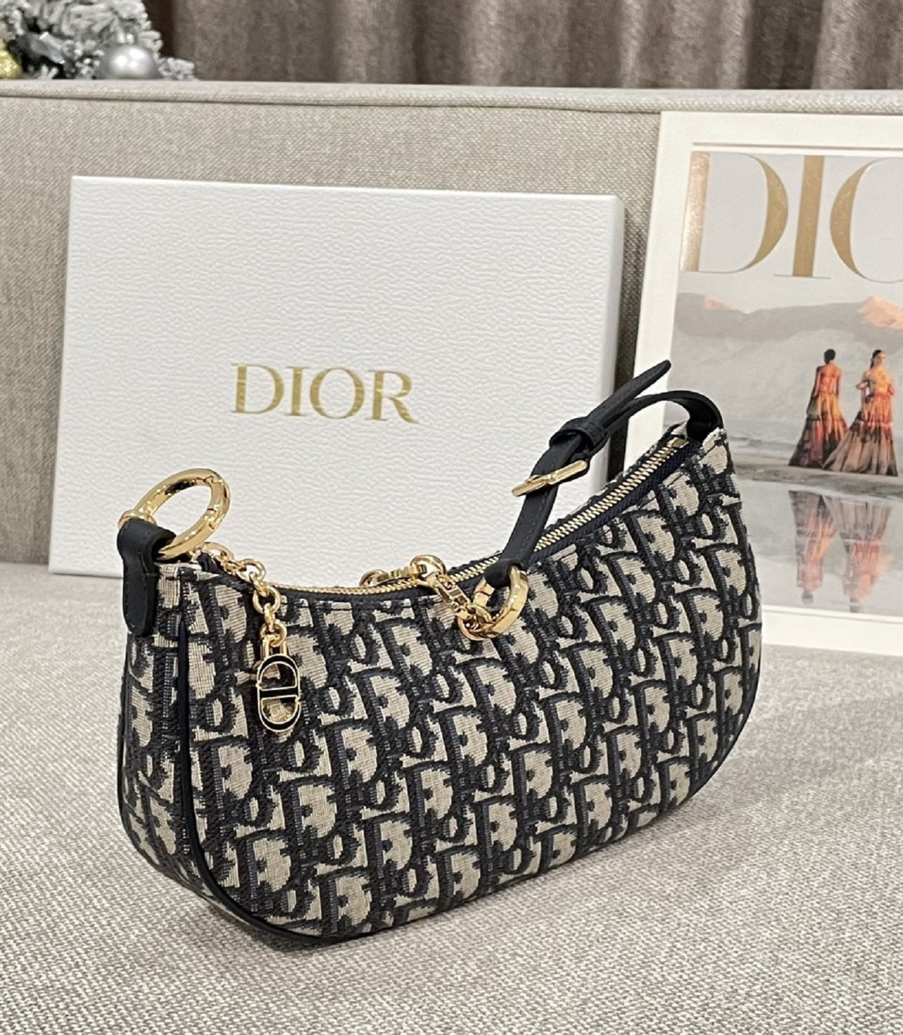 DIOR Lounge bag