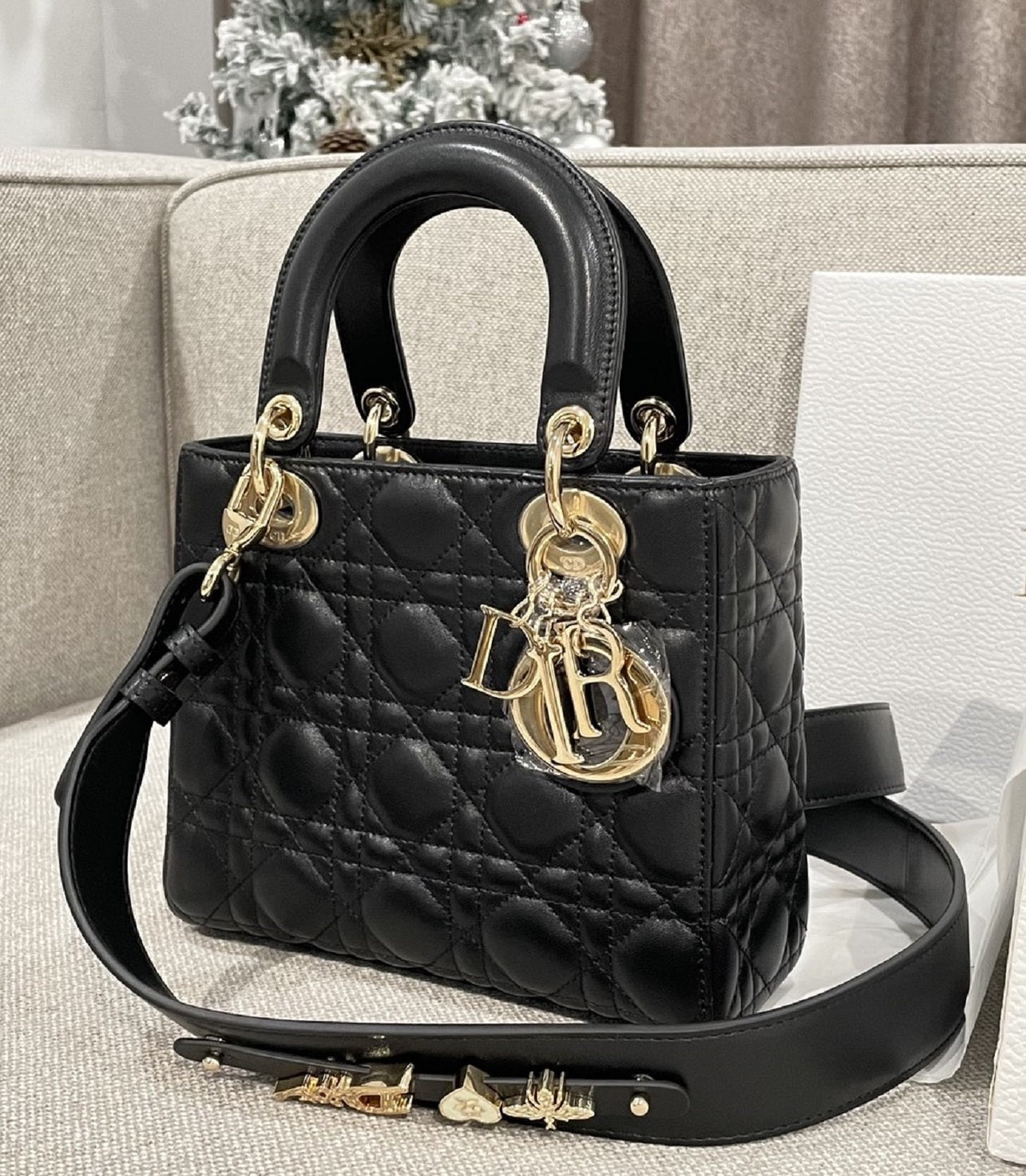 DIOR Lady Bag