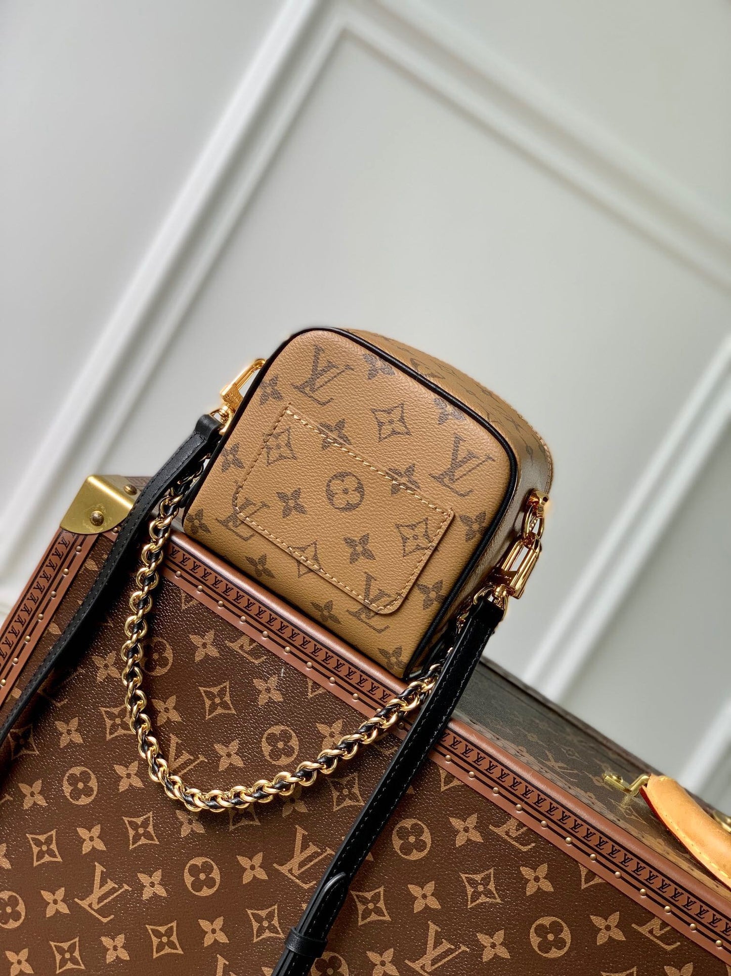 LV Just In Case Bag