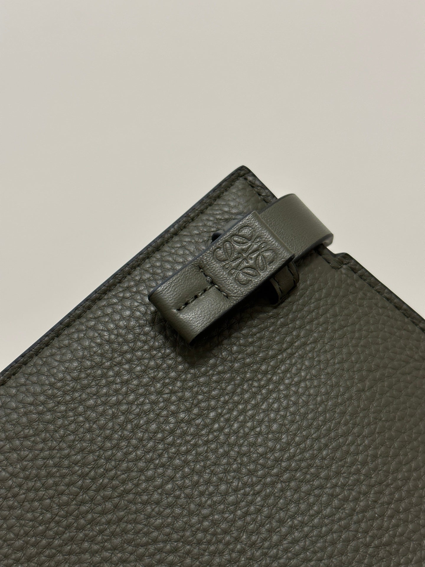 Loewe TT Pouch Bag