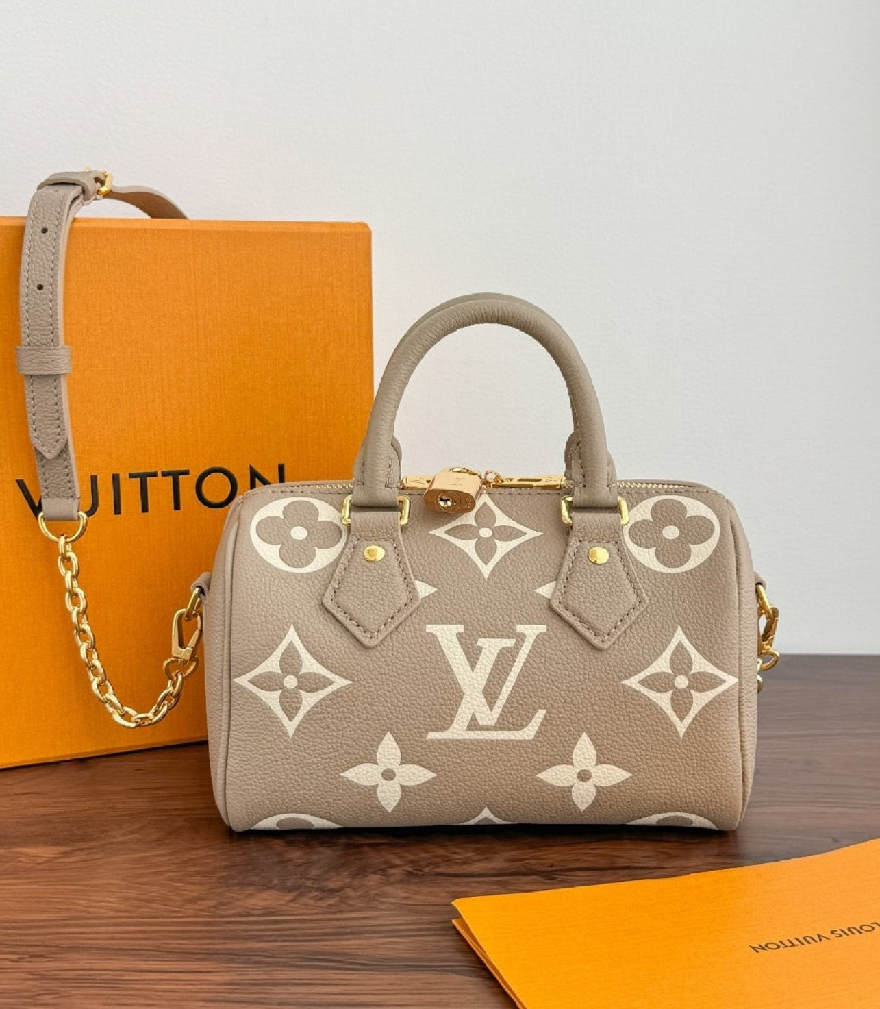 LV nano speedy20 Bag