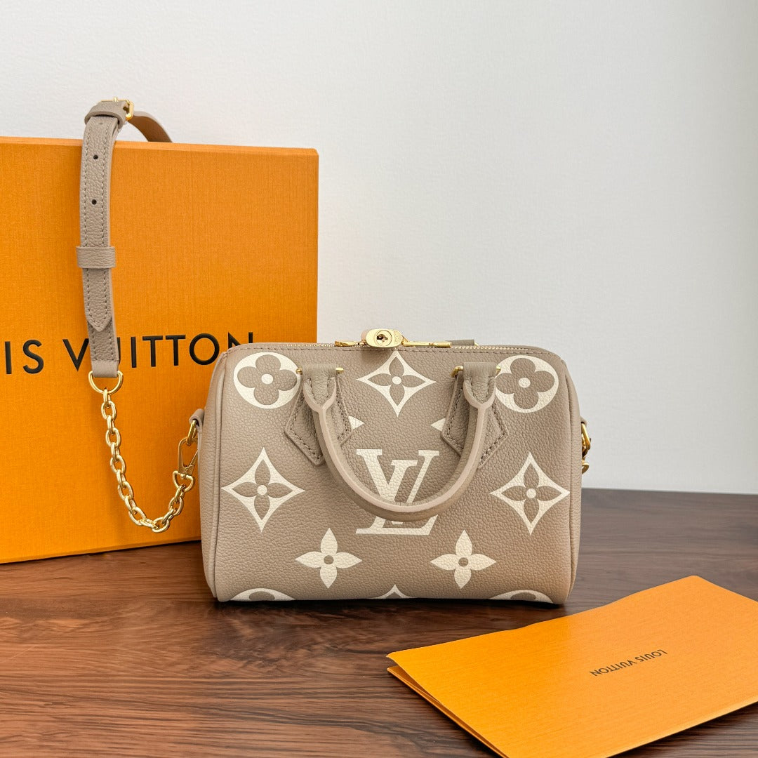 LV nano speedy20 Bag