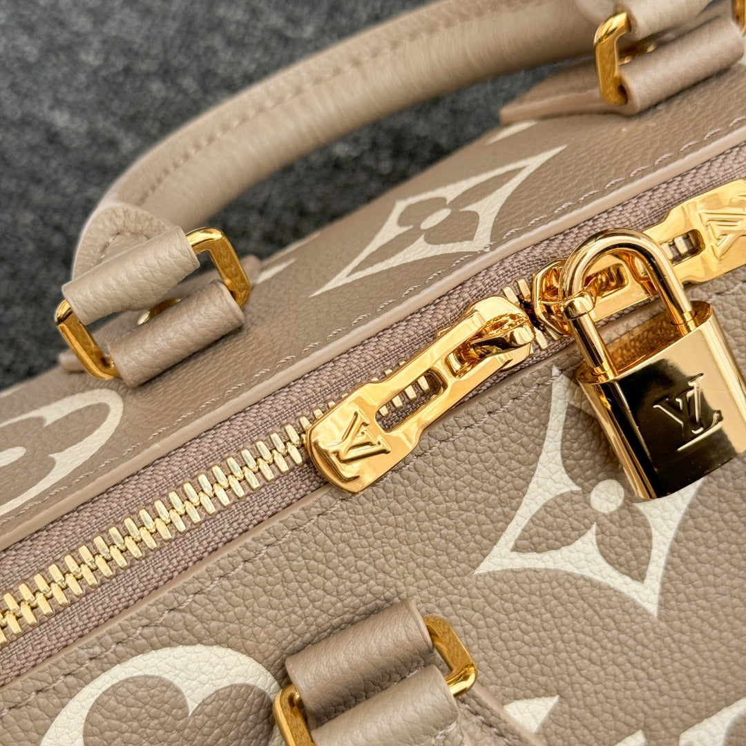 LV nano speedy20 Bag